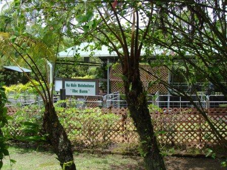petting zoo Hilo